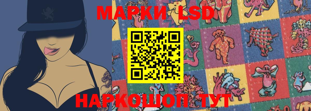 МЕФ Чапаевск