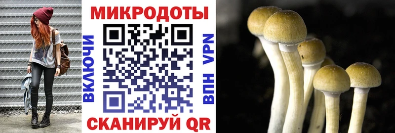 Галлюциногенные грибы GOLDEN TEACHER  Чапаевск 