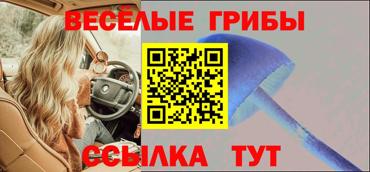 Псилоцибиновые грибы Psilocybe Чапаевск