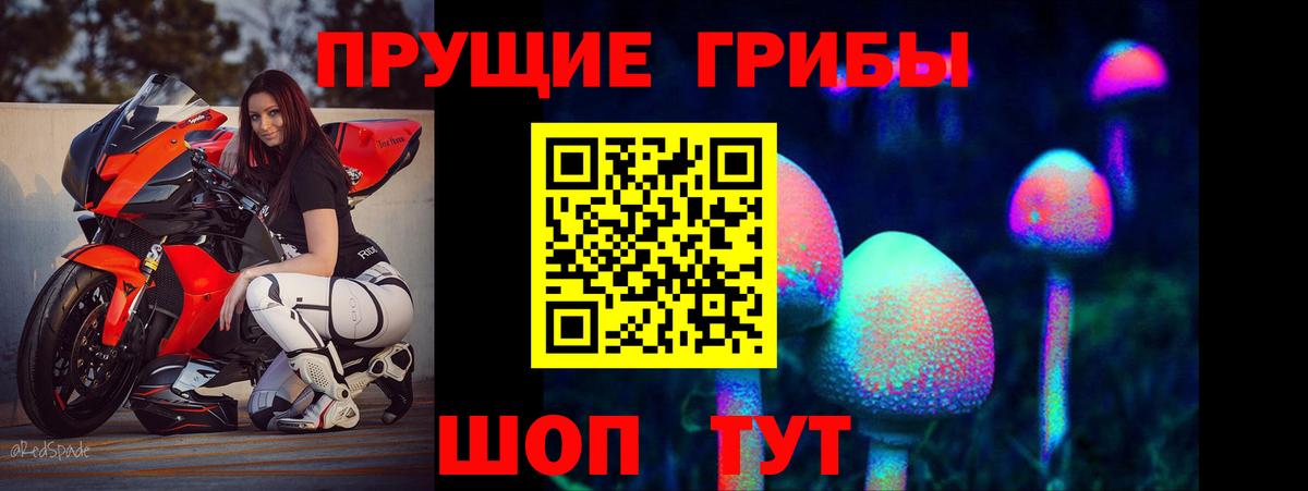 Галлюциногенные грибы Cubensis  Вход с VPN  Чапаевск 